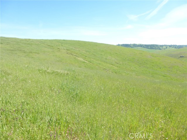 Detail Gallery Image 19 of 42 For 0 Douglas Rd. (Lot 42), San Miguel,  CA 93451 - – Beds | – Baths