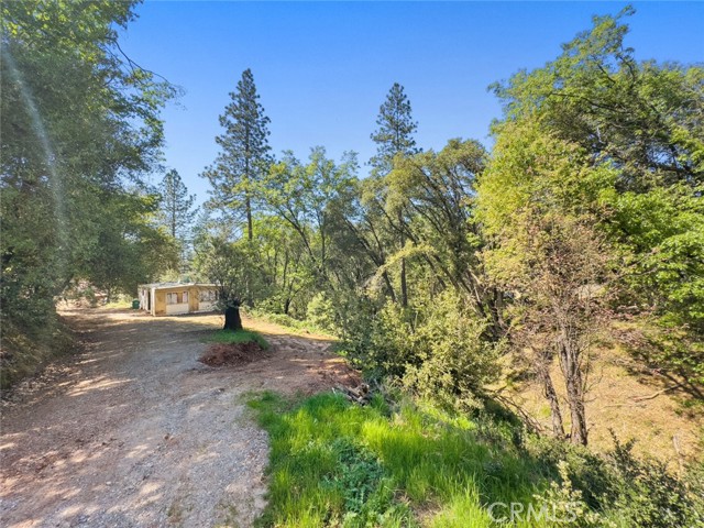 Detail Gallery Image 4 of 42 For 22666 Lower Quail Mine Rd, Sonora,  CA 95370 - 2 Beds | 1 Baths