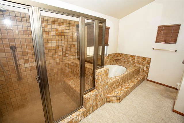 Master Suite Bathroom: Glass enclosed shower, jetted Tub, Duel sinks