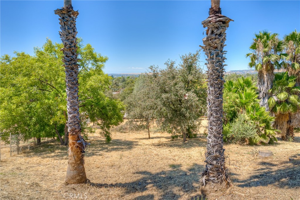 https://media.crmls.org/medias/216b544a-0adc-4eed-82a2-ee6e68eb007b.jpg?preset=X-Large