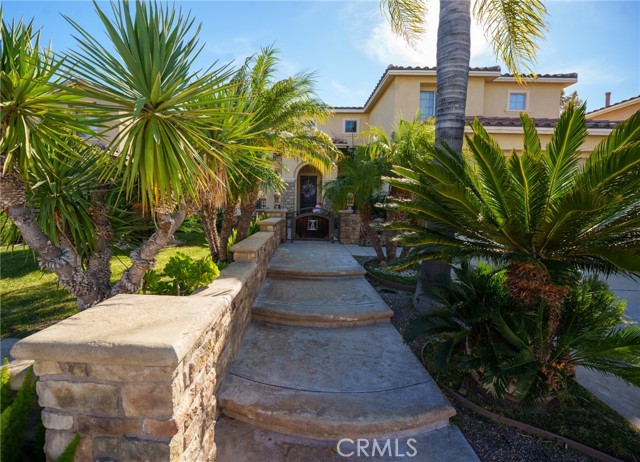 Front Image Thumbnail for CRSR25279420