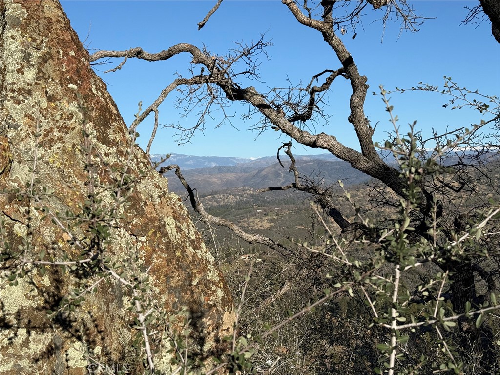 MLS #MP24255833 image #24