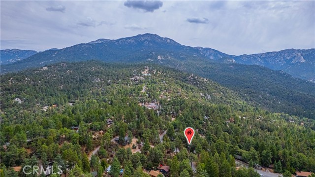 24990 Marion Ridge Drive, Idyllwild CA: https://media.crmls.org/medias/21743a1d-f86f-43e2-8b7f-d98240449f1d.jpg