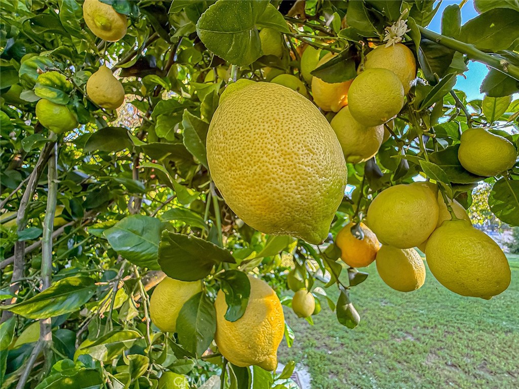 https://media.crmls.org/medias/2182ac6d-5826-471d-9c8d-a9dce174a4ba.jpg?preset=X-Large
