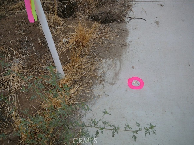 31665 Meadow Blossom Road, Nuevo CA: https://media.crmls.org/medias/2183e9a6-c142-4921-970a-28da6fe18ee7.jpg