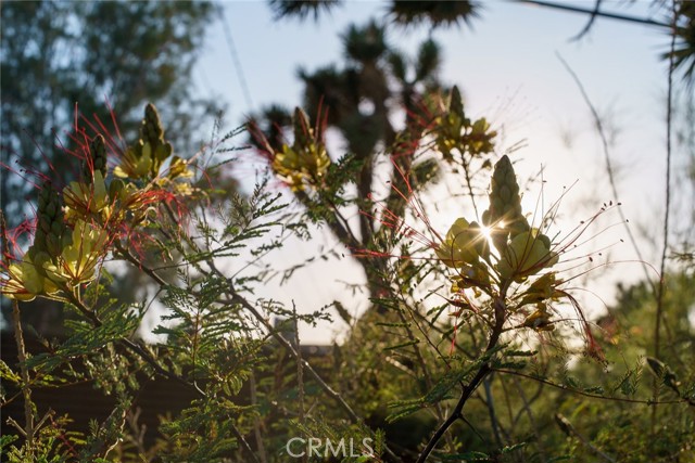 Detail Gallery Image 47 of 60 For 7422 Joshua Ln, Yucca Valley,  CA 92284 - 3 Beds | 2 Baths