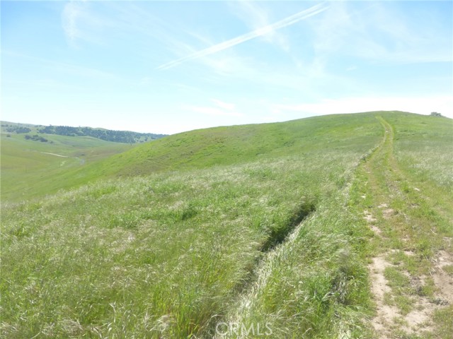 Detail Gallery Image 15 of 51 For 0 Douglas Rd. (Lot 33), San Miguel,  CA 93451 - – Beds | – Baths