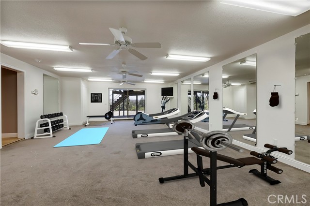 Large mirrored Gym
(Staged)