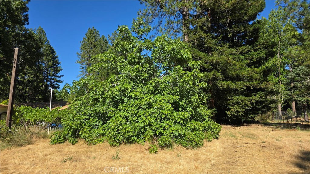 https://media.crmls.org/medias/218e82e0-227a-45b5-89da-15f7fd12a0d1.jpg?preset=X-Large