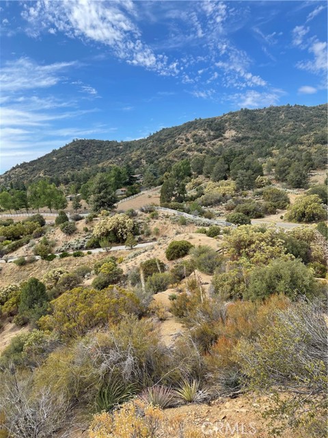 2 Goldshot Creek Road, Mountain Center, California 92561, ,Land,For Sale,2 Goldshot Creek Road,CRSW22171999