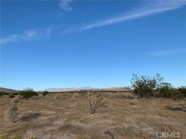 0 Pipeline Road, Joshua Tree, California 92252, ,Land,For Sale,0 Pipeline Road,CRDW23206723