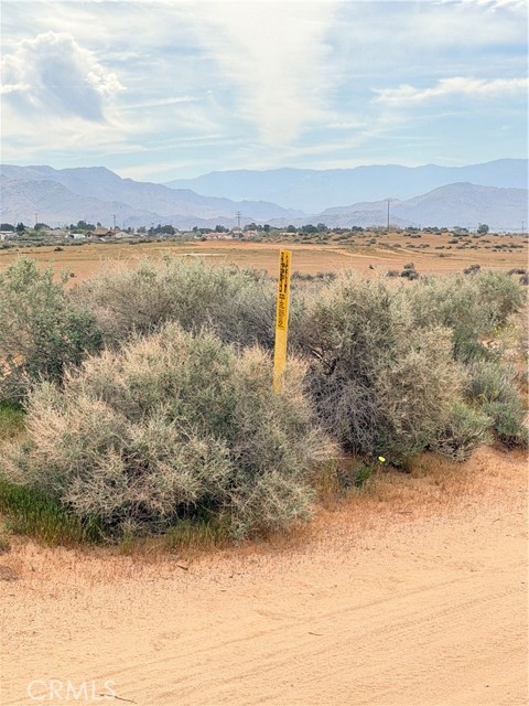 Detail Gallery Image 7 of 7 For 3 Carmel, Apple Valley,  CA 92307 - – Beds | – Baths