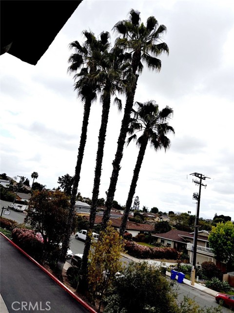 6924 Hyde Park Drive, San Diego CA: https://media.crmls.org/medias/219c1848-5171-455e-b7ce-9cce660a20d6.jpg