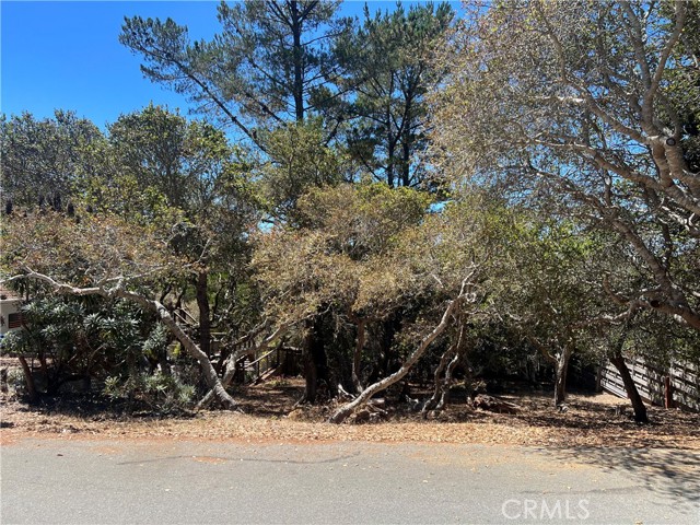Detail Gallery Image 2 of 6 For 1845 Norwich Ave, Cambria,  CA 93428 - – Beds | – Baths