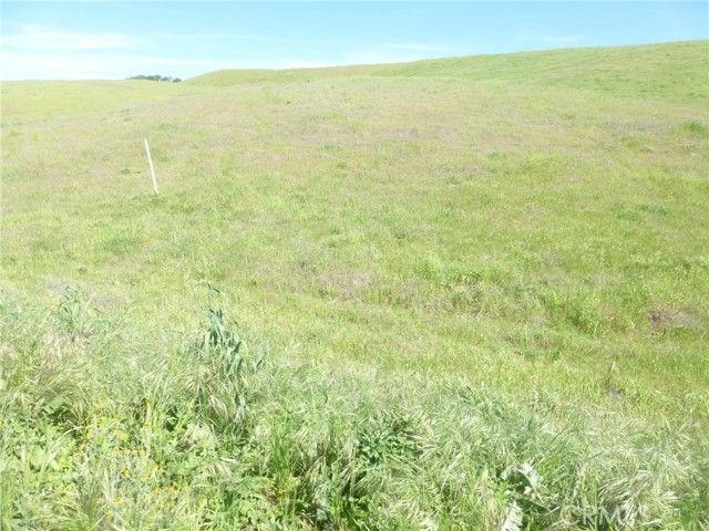 Detail Gallery Image 27 of 42 For 0 Douglas Rd. (Lot 42), San Miguel,  CA 93451 - – Beds | – Baths