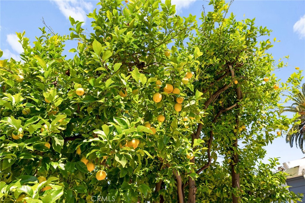 https://media.crmls.org/medias/21a0a3fe-9152-442e-b6f1-02b8ad75a388.jpg?preset=X-Large