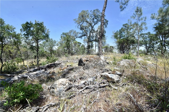 0 Mackey Court, Oroville CA: https://media.crmls.org/medias/21a5a2df-64f7-44eb-87da-cb331833f536.jpg