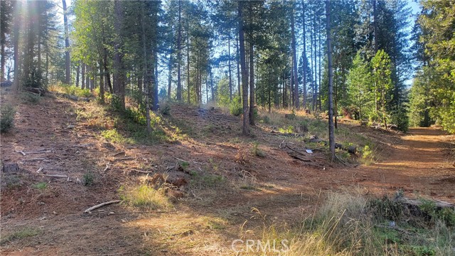 1 Coutolenc Road, Magalia, California 95954, ,Land,For Sale,1 Coutolenc Road,CRSN23217034