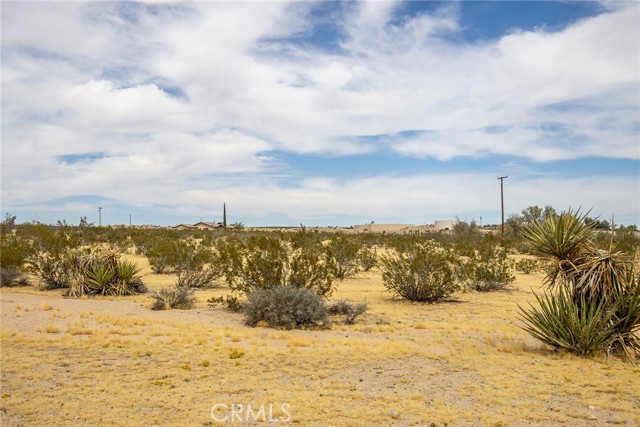 4225 Benji Avenue, Joshua Tree, California 92252, ,Land,For Sale,4225 Benji Avenue,CRJT23182225