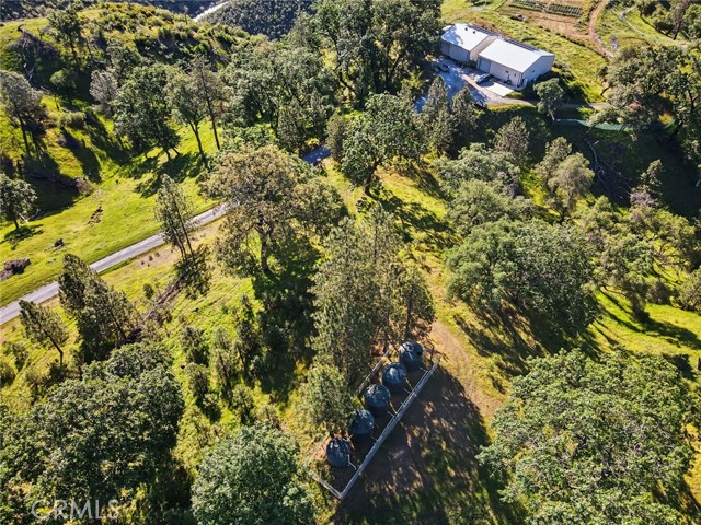 Image 22 of 36 For 3029 Freshwater