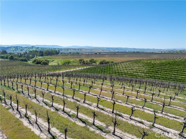 Detail Gallery Image 19 of 50 For 7310 Estrella Rd, San Miguel,  CA 93451 - – Beds | – Baths