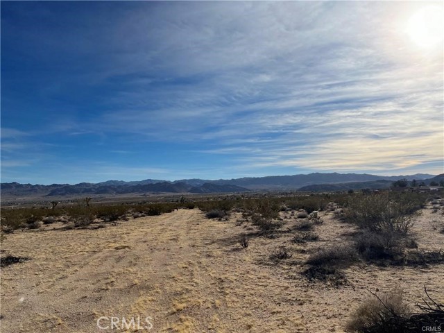 Detail Gallery Image 4 of 4 For 7 Bellflower Rd, Joshua Tree,  CA 92252 - – Beds | – Baths