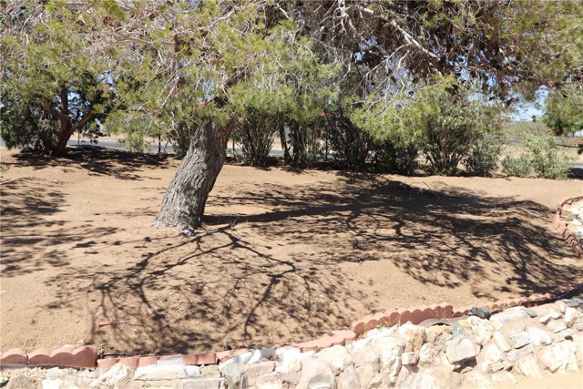 8255 E Avenue, Hesperia CA: https://media.crmls.org/medias/21be33f6-91e5-46b8-9bdf-39d29e2618ac.jpg