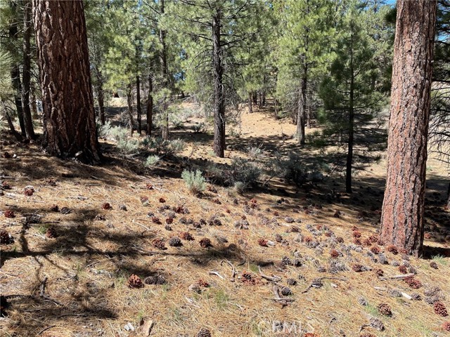 Detail Gallery Image 5 of 29 For 320 Starvation Flats Rd, Big Bear Lake,  CA 92315 - 4 Beds | 2 Baths