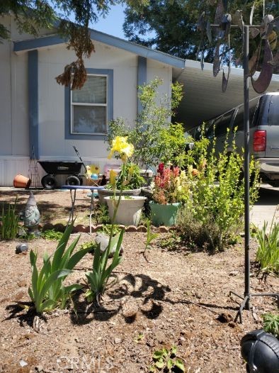 5935 Live Oak #19, Kelseyville, CA, 95451 5935 Live Oak #19, Kelseyville, CA, 95451