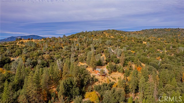 Detail Gallery Image 62 of 63 For 42852 Sunshine Mountain Rd, Oakhurst,  CA 93644 - 3 Beds | 2/1 Baths