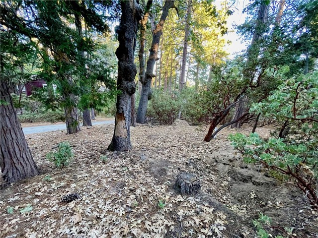 Detail Gallery Image 2 of 4 For 0 Overlook, Idyllwild,  CA 92549 - – Beds | – Baths