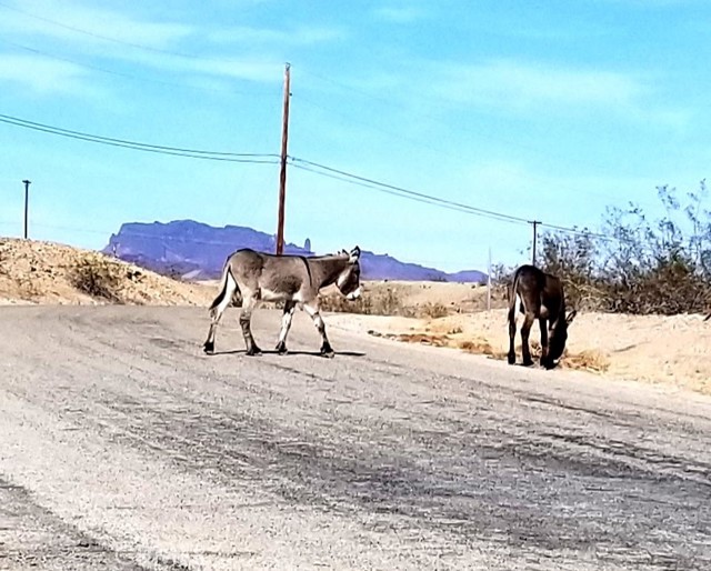 Detail Gallery Image 72 of 72 For 5800 Modoc Trl, Big River,  CA 92242 - 3 Beds | 2 Baths