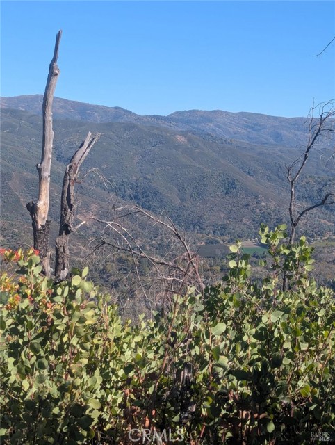 Detail Gallery Image 25 of 38 For 1833 Hunter Point Rd, Upper Lake,  CA 95485 - – Beds | – Baths