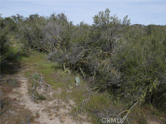 0 Hwy 371, Anza, California 92539, ,Land,For Sale,0 Hwy 371,CRSW23054275