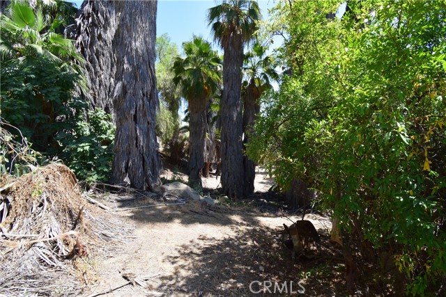 Detail Gallery Image 27 of 31 For 26641 Ironwood Ave, Moreno Valley,  CA 92555 - 4 Beds | 3 Baths