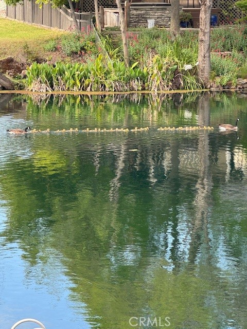5 Catalina Point Road, Chico CA: https://media.crmls.org/medias/21e47e84-c8df-441d-94e6-44d7232cbd0d.jpg