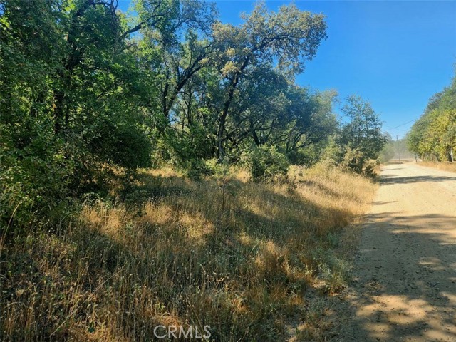 Detail Gallery Image 5 of 21 For 48 Rices Texas Hill Rd, Oregon House,  CA 95962 - – Beds | – Baths