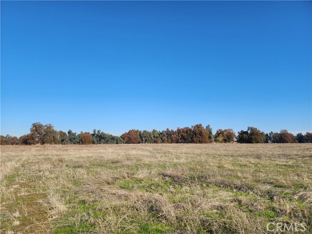 Detail Gallery Image 17 of 42 For 1882 Capay Rd, Corning,  CA 96021 - – Beds | – Baths