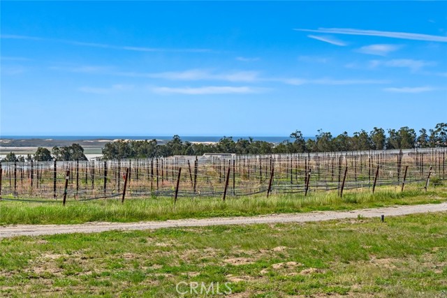 Detail Gallery Image 30 of 75 For 1590 Eucalyptus Rd, Nipomo,  CA 93444 - 3 Beds | 3/1 Baths