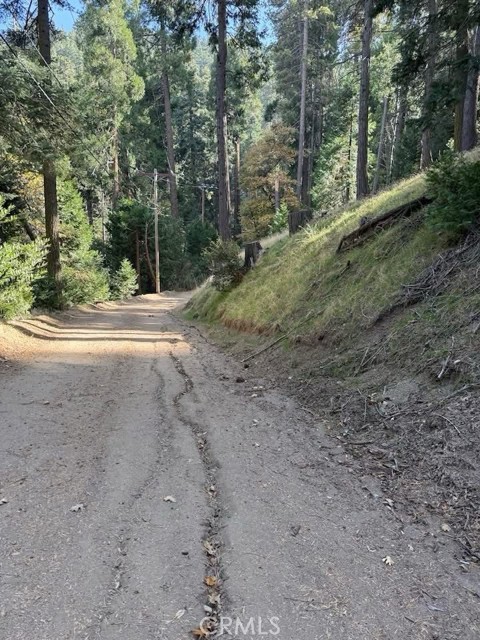 0 Burnt Mill Canyon Road, Cedarpines Park CA: https://media.crmls.org/medias/21f0e998-dcb1-49af-b42d-47c8e7372e02.jpg
