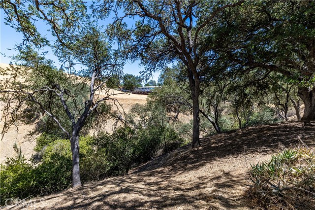 4250 Skylink Lane, Paso Robles CA: https://media.crmls.org/medias/21f2d7f7-a9e6-4a35-a4b3-20cf802a40e3.jpg