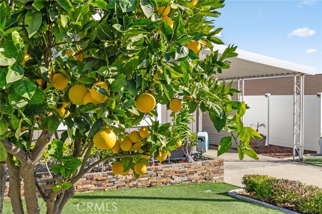 Detail Gallery Image 8 of 66 For 29100 via Princesa, Murrieta,  CA 92563 - 2 Beds | 2 Baths