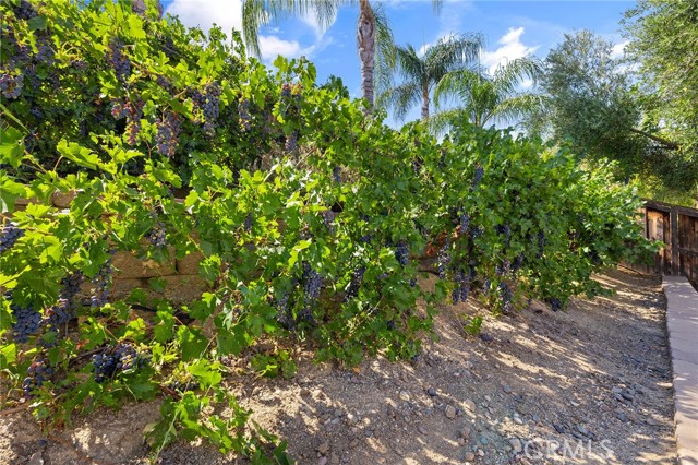 28481 Scenic Bay Cove, Menifee CA: https://media.crmls.org/medias/21fac067-0448-4419-a548-2b4d7e785e2c.jpg