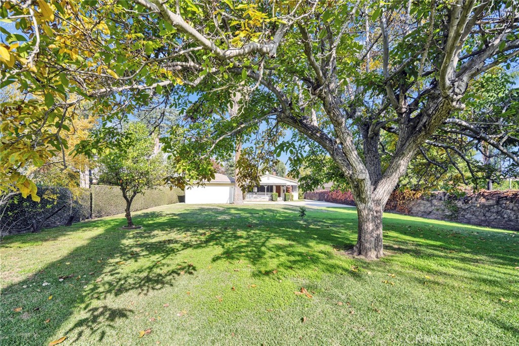 MLS #WS25271938 image #15