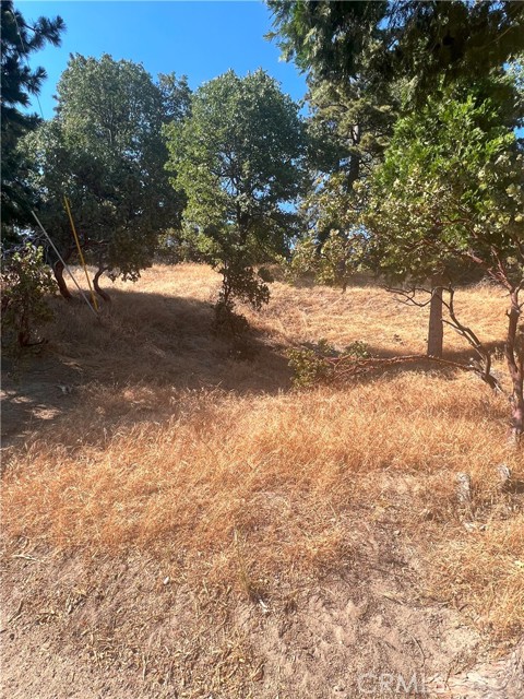 0 Arth Drive, Crestline, California 92325, ,Land,For Sale,0 Arth Drive,CRHD23124328