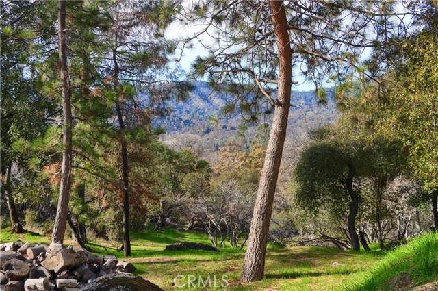 Detail Gallery Image 59 of 70 For 49873 Sunset, Coarsegold,  CA 93614 - 3 Beds | 2 Baths