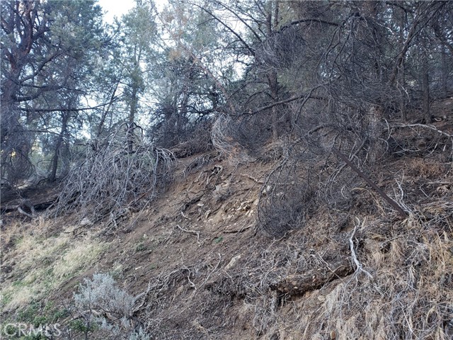 320 Zermatt Dr, Crestline, CA, 92325 320 Zermatt Dr, Crestline, CA, 92325