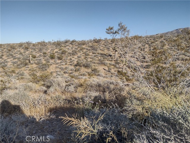 Detail Gallery Image 6 of 6 For 15 Camp Rock, Lucerne Valley,  CA 92356 - – Beds | – Baths