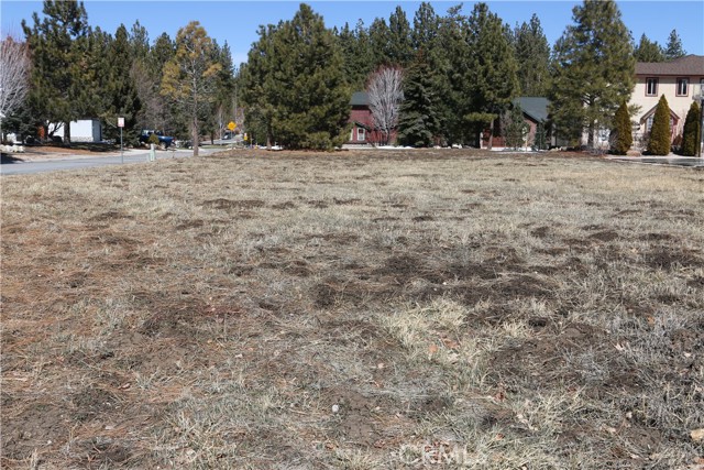 Detail Gallery Image 1 of 16 For 275 Meadow Cir, Big Bear Lake,  CA 92315 - – Beds | – Baths