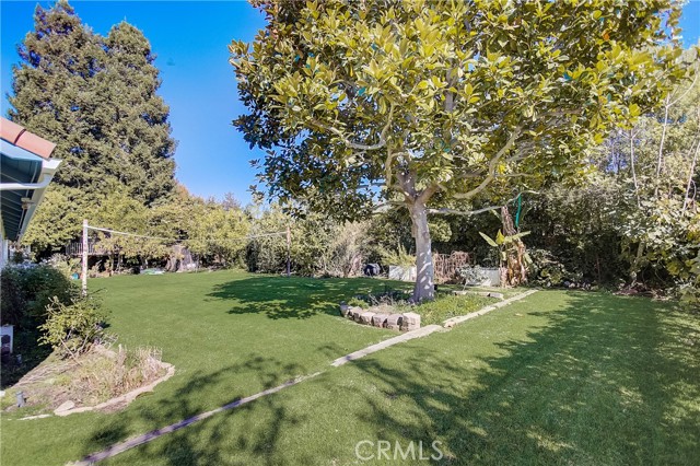 Where can you find a back yard like this in the South Bay....it's like having a wilderness park as your yard!